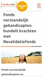 Mobile Screenshot of fondsverstandelijkgehandicapten.nl